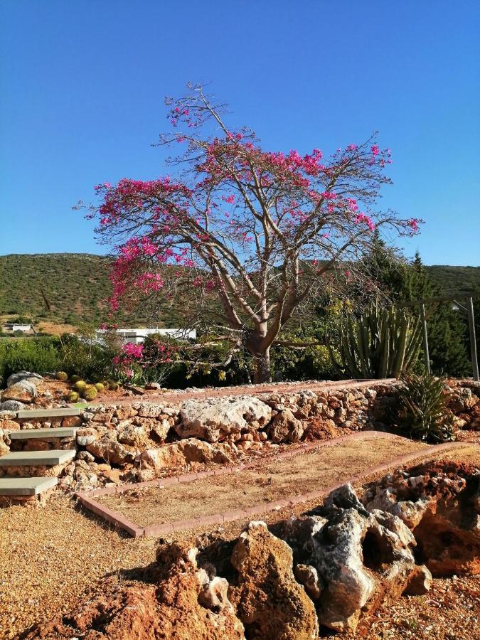 Duas Casas De Ferias Medronhal Faro Em 520 - 2 ภายนอก รูปภาพ