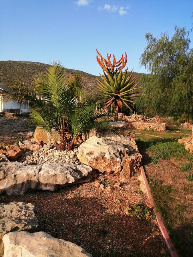 Duas Casas De Ferias Medronhal Faro Em 520 - 2 ภายนอก รูปภาพ