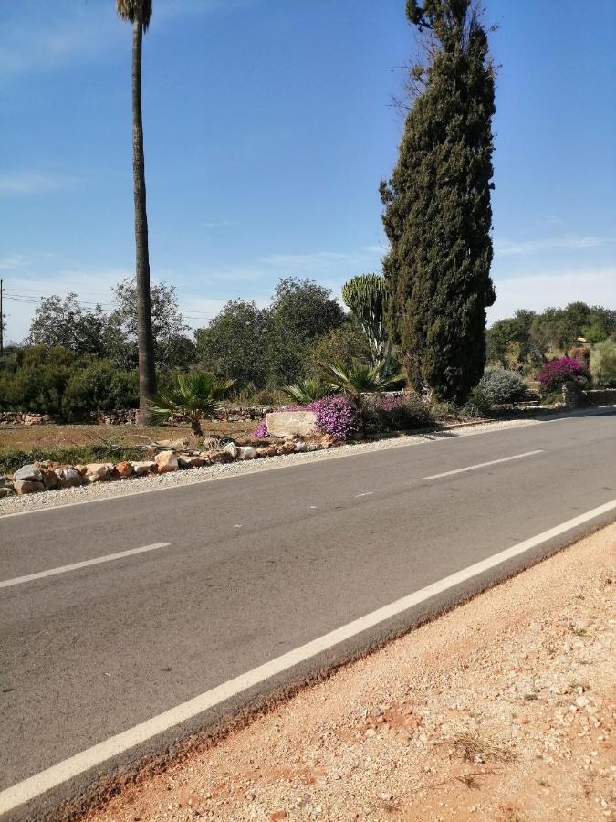 Duas Casas De Ferias Medronhal Faro Em 520 - 2 ภายนอก รูปภาพ