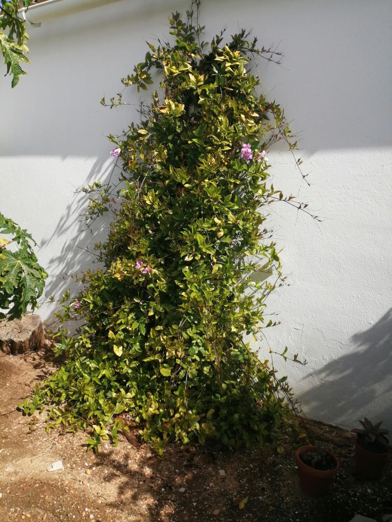Duas Casas De Ferias Medronhal Faro Em 520 - 2 ภายนอก รูปภาพ